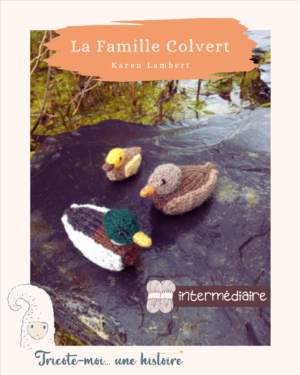 Tuto tricot "La famille Colvert"