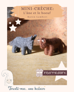 couverture tuto tricot "petit âne gris"
