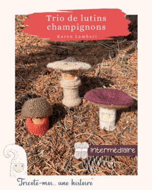 photo couverture tuto champignons tricotés