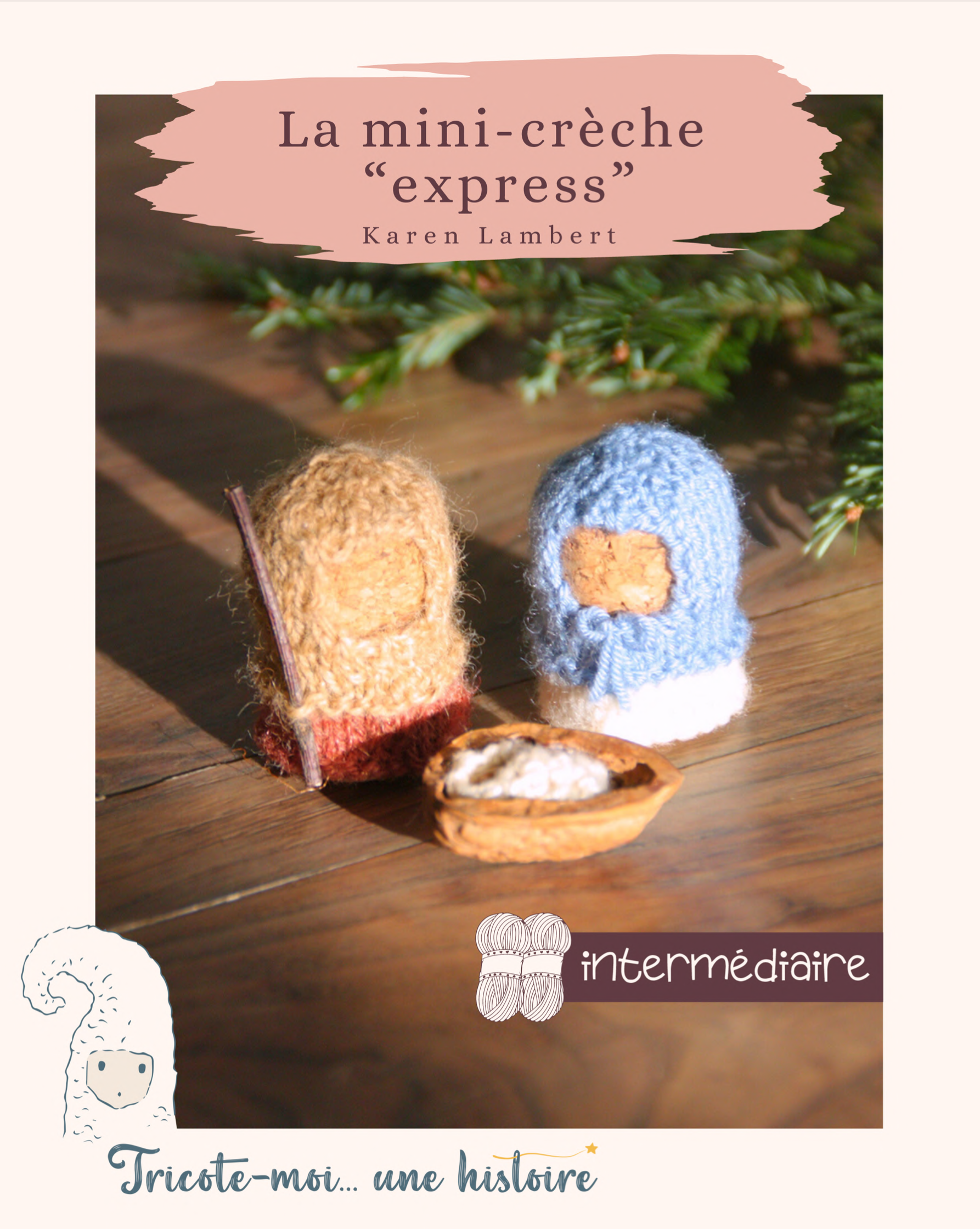 photo couverture tuto tricot crèche express